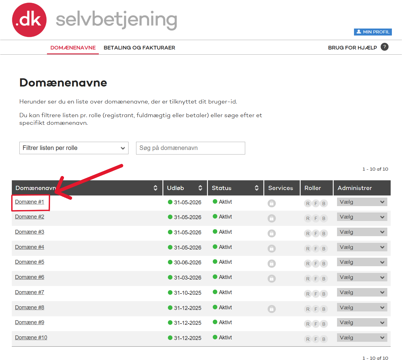 step_3_punktumdk_domæne_oversigt_med_pile_2.PNG